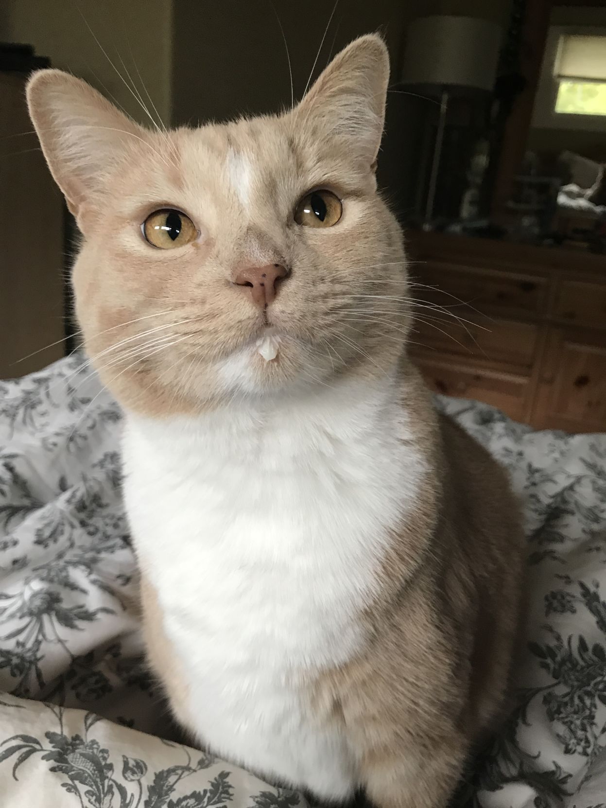 Buffy